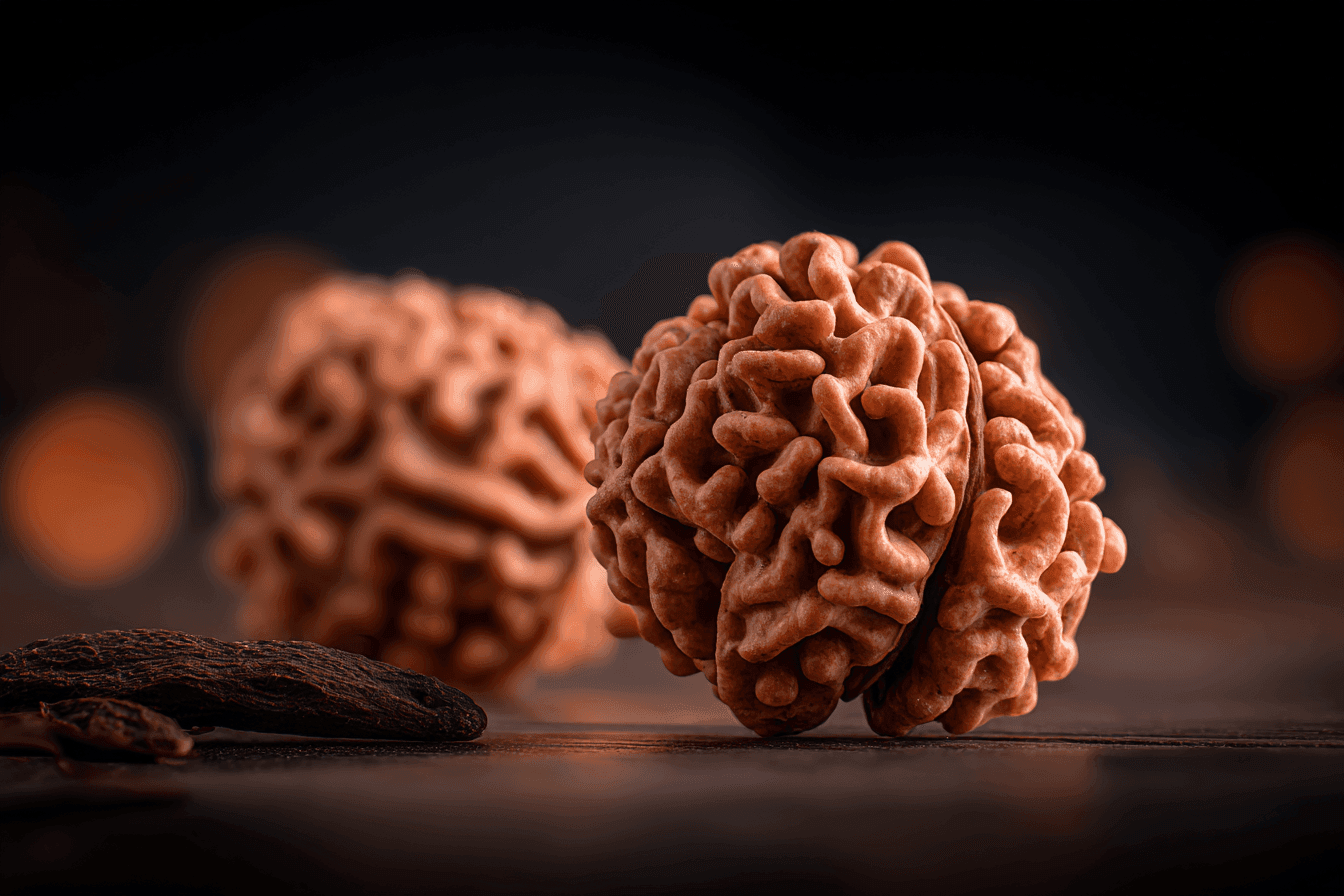 Let the Right Rudraksha Guide Your Energy