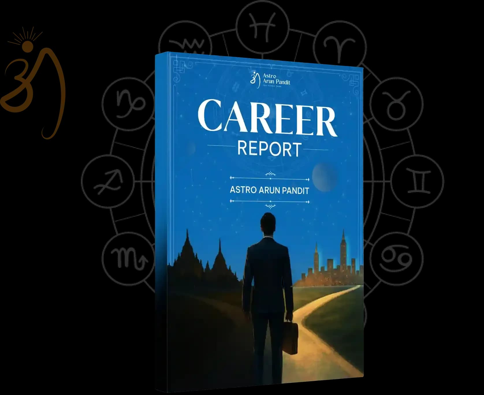 Career Report